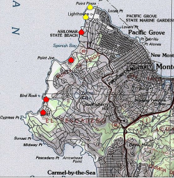 Occurrences of what has been referred to as Erysimum menziesii ssp. menziesii. A red polygon indicates an extant occurrence; yellow indicates the occurrence has been extirpated. 